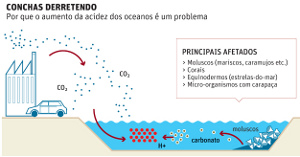 Esquema da acidificao do mar.