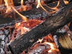 Para ocorrer um processo de combusto precisa-se de um combustvel e comburente, assim a madeira precisa de calor, fogo e oxignio, liberando gs carbnico. <br/><br/> Palavras-chave: Gases. Fogo. Poluio atmosfrica. Meio ambiente.