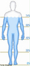 Ilustrao com a representao de porcentagem de gua no corpo humano. <br/><br/> Palavras-chave: Corpo humano. Hidratao. gua.