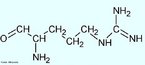 A Arginina  um dos aminocidos codificados pelo cdigo gentico, sendo portanto um dos componentes das protenas dos seres vivos. Em mamferos, a arginina pode ou no ser considerada como aminocido essencial dependendo do estgio do desenvolvimento do indivduo ou do seu estado de sade. Nome IUPAC: 2-amino-5-(diaminomethylidene-amino)pentanoic acid. <br/><br/> Palavras-chave: Arginina. Aminocidos. Qumica orgnica. Bioqumica.