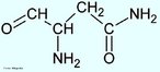 A asparagina, o amido-beta derivado do cido asprtico,  considerado um aminocido no-essencial. Possui uma funo importante na bio sntese de glicoprotenas e  tambm essencial na sntese de um grande nmero de outras protenas. A asparagina representa cerca de 3% dos aminocidos das protenas do organismo humano. <br/><br/> Palavras-chave: Asparagina. Aminocidos. Qumica orgnica. Bioqumica.