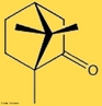 Representao da molcula da substncia qumica conhecida como cnfora (C10H16O), uma substncia branca, cristalina, com um forte odor caracterstico. <br/><br/> Palavras-chave: Cnfora. Substncia qumica. Molcula. 