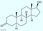 Dihidrotestosterona (DHT) (Nome completo: 5α-Dihidrotestosterona, abreviado para 5α-DHT; INN: androstanolona)  um metablito biologicamente ativo do hormnio testosterona, formado principalmente na prstata, testculos, folculos capilares e glndulas adrenais pela enzima 5α-redutase atravs da reduo da ligao dupla 4,5. A dihidrotestosterona pertence  classe dos componentes chamados andrgenos, tambm geralmente chamados de hormnios andrognicos. A DHT  cerca de 30 vezes mais potente que a testosterona devido  sua afinidade aumentada pelo receptor de andrgenos. Frmula molecular C19H30O2. Massa molar 290,440 g/mol. <br/><br/> Palavras-chave: Dihidrotestosterona. Medicamentos. Qumica orgnica. Doping.