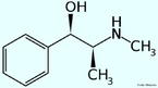 A efedrina  uma amina simpatomtica similar aos derivados sintticos da anfetamina, muito utilizada em medicamentos para emagrecer, pois ela faz que o metabolismo acelere, queimando mais gordura (atravs da termognese - produo de calor), porm causa uma forte dependncia, o que fez a droga ser proibida para este uso, mas ainda pode ser encontrada em algumas farmcias em forma de remdios destinados para problemas respiratrios. Frmula molecular C10H15NO. Massa molar 165,23 g/mol. Nomenclatura IUPAC (sistemtica) (1R,2S)-2-(methylamino)-1-phenylpropan-1-ol <br/><br/> Palavras-chave: Efedrina. Medicamentos. Qumica orgnica. Doping.