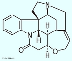 A estricnina  um alcalide cristalino muito txico. Foi muito usado como pesticida, pricipalmente para matar ratos. Porm, devido a sua alta toxicidade, no s em ratos, mas em vrios animais (incluindo o homem), seu uso  proibido em muitos pases.  praticamente insolvel em gua e pouco solvel em solventes orgnicos. Estudos mostram que a DL50 oral em ratos varia entre 2,2 e 5,8 mg/kg em fmeas e entre 6,4 e 14 mg/kg em machos. A fonte mais comum dessa substncia  de sementes de rvores da espcie Nux vomica, nativa do Sri Lanka, Austrlia e ndia. A estricnina  tambm uma das substncias mais amargas que existem. Seu sabor  perceptvel em concentraes da ordem de 1ppm. Frmula molecular C21H22N2O. Massa molar 334,41 g/mol. <br/><br/> Palavras-chave: Estricnina. Medicamentos. Qumica orgnica. Doping.