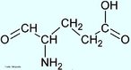 O cido glutmico ou glutamato  um aminocido que possui um cido carboxlico como grupo funcional na sua cadeia lateral.  Nome IUPAC: cido (2S)-2-aminopentanedioico. Abreviatura (Glu). <br/><br/> Palavras-chave: cido glutmico. Glutamato. Aminocidos. Qumica orgnica. Bioqumica.