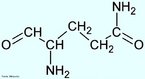 O aminocido glutamina  o mais abundante aminocido de forma livre encontrado no tecido muscular. Alm de atuar como nutriente (energtico) s clulas imunolgicas, a glutamina apresenta importante funo anablica promovendo o crescimento muscular. Este efeito pode estar associado  sua capacidade de captar gua para o meio intracelular, o que estimula a sntese proteica. Nome IUPAC: cido L-Glutamine (2S)-2-amino-4-carbamoylbutanoico. Abreviatura (Gln). <br/><br/> Palavras-chave: Glutamina. Aminocidos. Qumica orgnica. Bioqumica.