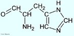 A histidina  um dos aminocidos bsicos (em relao ap pH) devido  sua cadeia lateral aromtica de nitrognio heterocclico. O radical da histidina consiste em um carbono e um ncleo imidazole, este ltimo formato de trs carbonos e dois azotos. As trocas de hidrognio com o ncleo imidazole acontecem facilmente ao pH fisiolgico e a histidina  um radical frequente nas partes catalticas das enzimas. Este aminocido  metabolizado bioquimicamente no neurotransmissor histamina e o conjunto de genes que produz enzimas responsveis pela biossntese da histidina  controlado pelo operon histidina. A interrupo da biossntese da histidina em bactrias  a base do famoso teste Ames, utilizado para verificar a mutagenibilidade de vrios agentes qumicos. A histidina representa cerca de 3% dos aminocidos das protenas do nosso organismo. A carne, as vsceras e midos so ricos em histidina. Nome IUPAC: cido (S)-2-amino-3-(3H-imidazol-4-yl)propanoic. Abreviatura (His).  Palavras-chave: Histidina. Aminocidos. Qumica orgnica. Bioqumica.