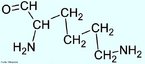 A lisina  um aminocido cido essencial, com uma carga geral positiva em nvel de pH fisiolgico, o que a torna um dos trs aminocidos bsicos (em relao  sua carga). Este aminocido polar  encontrado na superfcie de enzimas e protenas, e por vezes aparece nas pores ativas.  essencial para o crescimento normal de crianas a para a manuteno do equilbrio do nitrognio no adulto. Fontes de lisina incluem carnes, peixe, frango e laticnios. A lisina representa cerca de 8% dos aminocidos das protenas do nosso organismo.  Nome IUPAC: cido 2,6-diaminohexanoico. Abreviatura (Lys). <br/><br/> Palavras-chave: Lisina. Aminocidos. Qumica orgnica. Bioqumica.