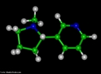Representao tridimensional da molcula de Nicotina.  uma substncia alcaloide bsica, lquida e de cor amarela, que constitui o princpio ativo do tabaco. Provoca cancro nos pulmes devido  metilizao que ocorre no DNA (liga um radical metila, CH3). A pirrolidina (nicotina) sofre reaes metablicas (com NO+), oxidao e abertura do anel transformando-se em 4-(n-metil-n-nitrosamino)-1-(3-piridil)-1-butanona (CETONA) e 4-(n-metil-n-nitrosamino)-4-(3-piridil)-butanal (ALDEDO). O nitrosamino possui uma forma de ressonncia onde um carboction  facilmente doado a uma base nitrogenada do DNA (guanina, citosina, adenina ou timina), causando uma falha de transcrio, levando  possibilidade de desenvolvimento do cncer. Nomenclatura IUPAC: 3-[(2S)-1-methylpyrrolidin-2-yl]pyridine. Frmula Molecular: C10H14N2. Massa Molar: 162,26 g/mol. <br/><br/> Palavras-chave: Molculas. Nicotina. Substncias qumicas. Drogas.