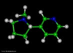 Representao tridimensional da molcula de Nicotina  o nome de uma substncia alcaloide bsica, lquida e de cor amarela, que constitui o princpio ativo do tabaco. Provoca cancro nos pulmes devido  metilizao que ocorre no DNA (liga um radical metila, CH3). A pirrolidina (nicotina) sofre reaes metablicas (com NO+), oxidao e abertura do anel transformando-se em 4-(n-metil-n-nitrosamino)-1-(3-piridil)-1-butanona (CETONA) e 4-(n-metil-n-nitrosamino)-4-(3-piridil)-butanal (ALDEDO). O nitrosamino possui uma forma de ressonncia onde um carboction  facilmente doado a uma base nitrogenada do DNA (guanina, citosina, adenina ou timina), causando uma falha de transcrio, levando  possibilidade de desenvolvimento do cncer. Nomenclatura IUPAC: 3-[(2S)-1-methylpyrrolidin-2-yl]pyridine. Frumula molecular: C10H14N2. Massa molar: 162,23 g/mol <br/><br/> Palavras-chave: Nicotina. Alcaloides. Drogas. Qumica orgnica.