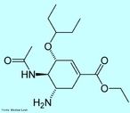 Oseltamivir - Tamiflu