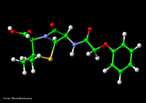 Representao tridimensional da molcula de Penicilina.  um antibitico natural derivado de um fungo, o bolor do po Penicillium chrysogenum (ou P. notatum). Ela foi descoberta em 15 de setembro de 1928, pelo mdico e bacteriologista escocs Alexander Fleming e est disponvel como frmaco desde 1941, sendo o primeiro antibitico a ser utilizado com sucesso. O nome penicilina  usado tambm para outros antibiticos relacionados. Medicamento indicado em casos de infeces estreptoccicas (grupo A, C, H, G, L e M). Infeces da orofaringe, otite mdia e do trato respiratrio inferior. Endocardite estreptoccica. Meningite meningoccica. Antraz. Actinomicose. <br/><br/> Palavras-chave: Molculas. Penicilina. Substncias qumicas. Medicamentos. Drogas.