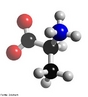 Representao em 3D de uma molcula de alanina. A alanina  o nome comum para o cido 2-aminopropanico. A alanina  um dos aminocidos codificados pelo cdigo gentico, sendo portanto um dos componentes das protenas dos seres vivos.  um aminocido no essencial. Ambos os enantimeros D-alanina e L-alanina ocorrem naturalmente, embora a D-alanina se encontre somente na parede celular de algumas bactrias. <br/><br/> Palavras-chave: Alanina. Aminocido. Molcula.