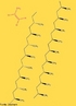 Representao da molcula do polmero de polipropileno. Polipropileno (PP) ou polipropeno  um polmero ou plstico, derivado do propeno ou propileno e reciclvel. Ele pode ser identificado em materiais atravs do smbolo triangular de reciclvel, com um nmero "5" por dentro e as letras "PP". A sua forma molecular  (C3H6)x. O polipropileno  um tipo de plstico que pode ser moldado usando apenas aquecimento, ou seja,  um termoplstico. Possui propriedades muito semelhantes s do polietileno (PE), mas com ponto de amolecimento mais elevado. <br/><br/> Palavras-chave: Polmero. Polipropileno. Monmero. PP.