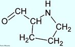 A prolina  um dos aminocidos cclicos alifticos que so componentes primrios da protena colgeno, o tecido do conectivo que liga e sustenta todos os outros tecidos. A prolina tem uma cadeia lateral aliftica, mas difere dos outros membros do conjunto dos vinte por sua cadeia lateral ser ligada tanto ao nitrognio, quanto ao tomo de carbono. A resultante estrutura cclica influencia fortemente na arquitetura das protenas. A prolina  sintetizada a partir do cido glutmico, antes de sua incorporao em pr-colgeno, durante a traduo do RNA-mensageiro. Aps a sntese da protena pr-colgeno, ela  convertida em hidroxiprolina por uma modificao ps-traduo. A prolina representa cerca de 4% dos aminocidos das protenas do nosso organismo. Po, leite, gelatina so ricos em prolina. Nome IUPAC: cido (S)-Pyrrolidine-2-carboxylic. Abreviatura (Pro). <br/><br/> Palavras-chave: Prolina. Aminocidos. Qumica orgnica. Bioqumica.