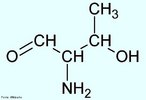 A treonina  outro aminocido contendo lcool que no pode ser produzido pelo organismo e precisa ser consumido na dieta. Este aminocido desempenha um papel importante, junto com a glicina e a serina, no metabolismo de porfirina. A treonina representa cerca de 4% dos aminocidos das protenas do nosso organismo. Os ovos so ricos so ricos em treonina. Nome IUPAC: cido (2S,3R)-2-Amino-3-hydroxybutanoic. Abreviatura (Thr). <br/><br/> Palavras-chave: Treonina. Aminocidos. Qumica orgnica. Bioqumica.